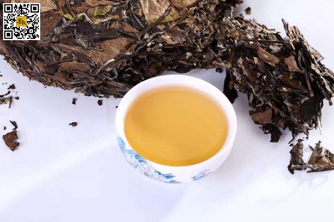 白茶知识：什么是白茶萎凋工艺？室外阳光萎凋和室内萎凋有什么不同？