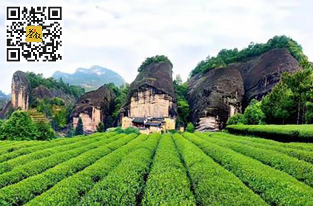 十大名茶：中国十大名茶之武夷岩茶的起源和品质特点