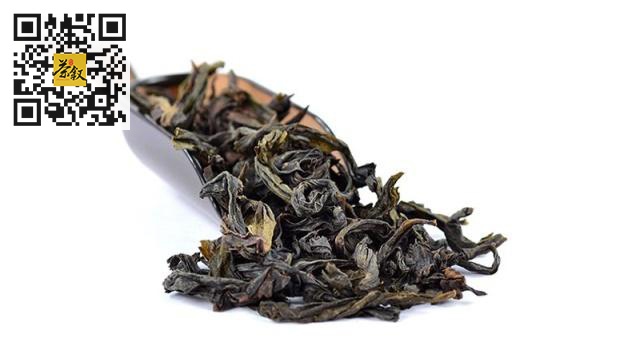 乌龙茶知识：都说乌龙茶有丛味，什么是乌龙茶的丛味？