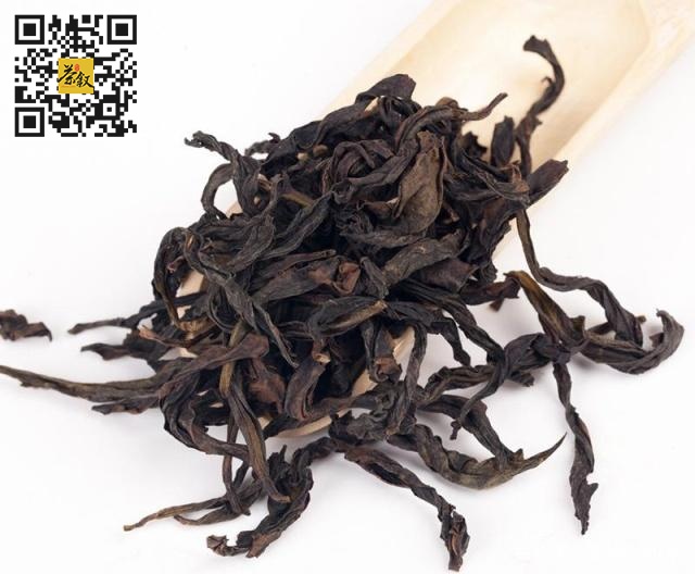 乌龙茶知识：乌龙茶中老丛和老枞有什么区别？多少年树龄的茶树才能称得上是老丛？