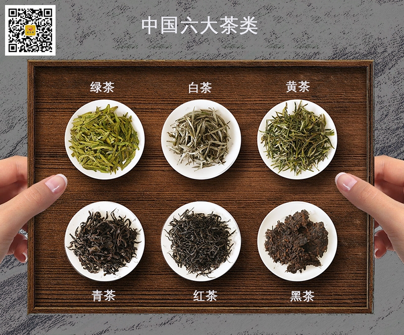 中国六大茶类比较图