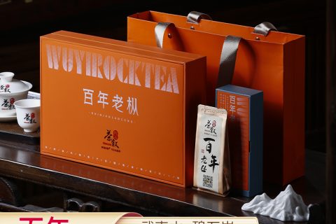百年老丛高奢礼品茶精美爱马仕橙礼盒包装风格