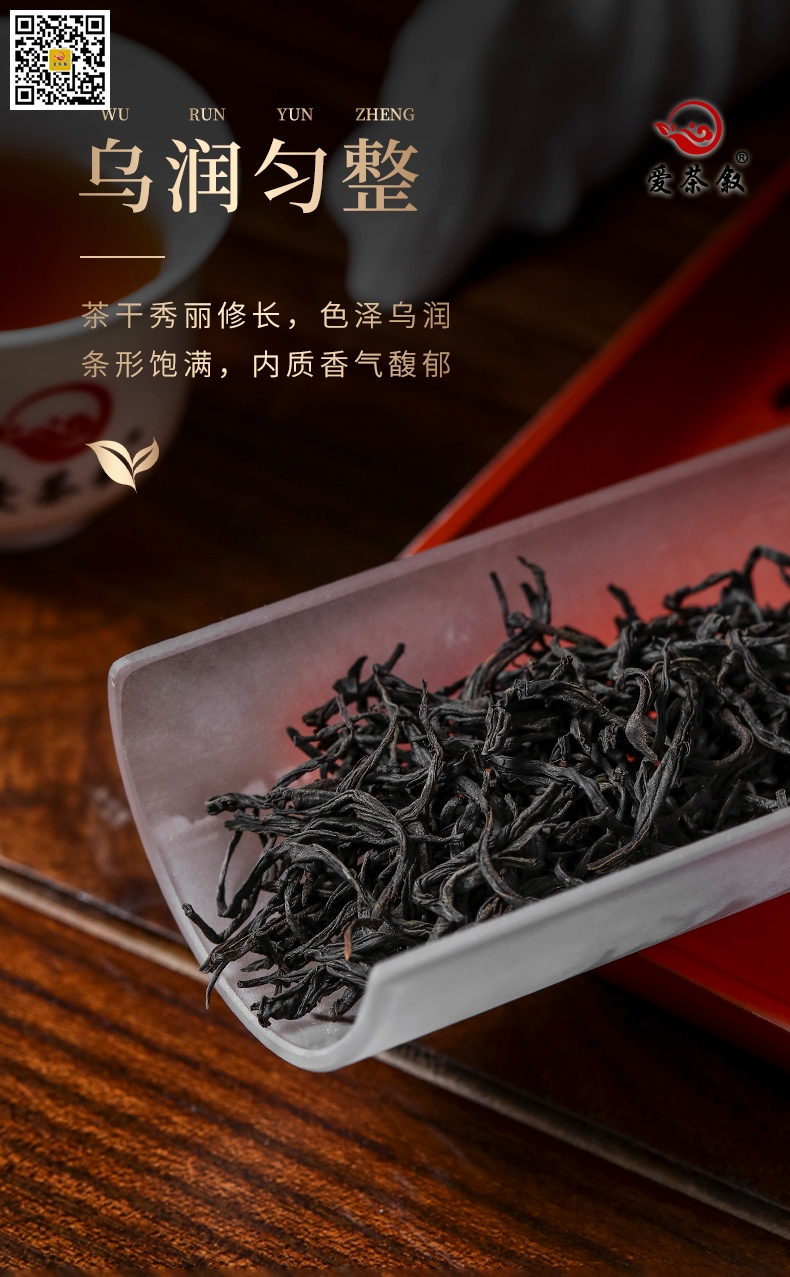 鸿途正山小种红茶干茶特征条索条形饱满修长色泽乌润